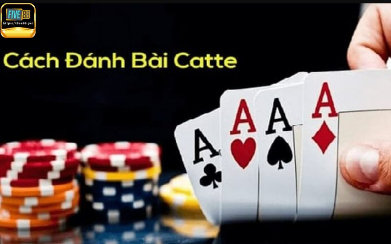 Hướng dẫn cách chơi bài Catte chi tiết 