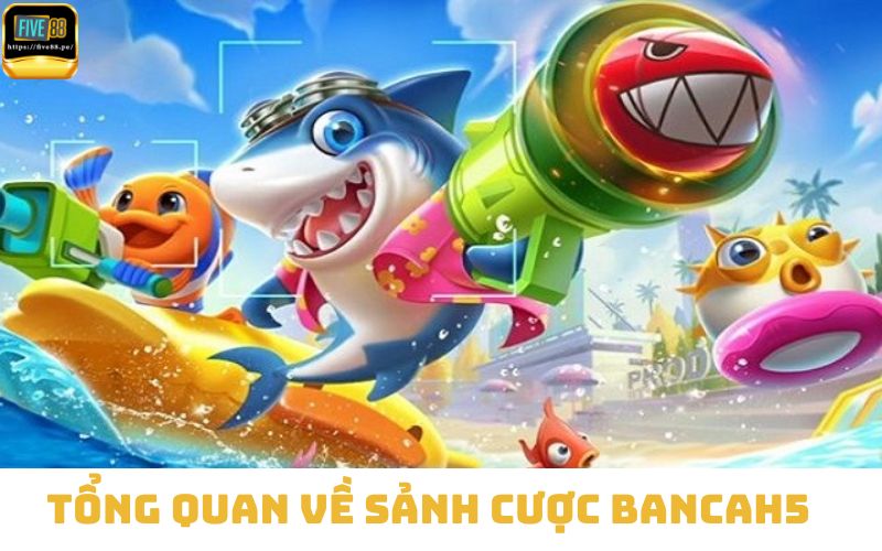 Tổng quan về sảnh cược bancah5